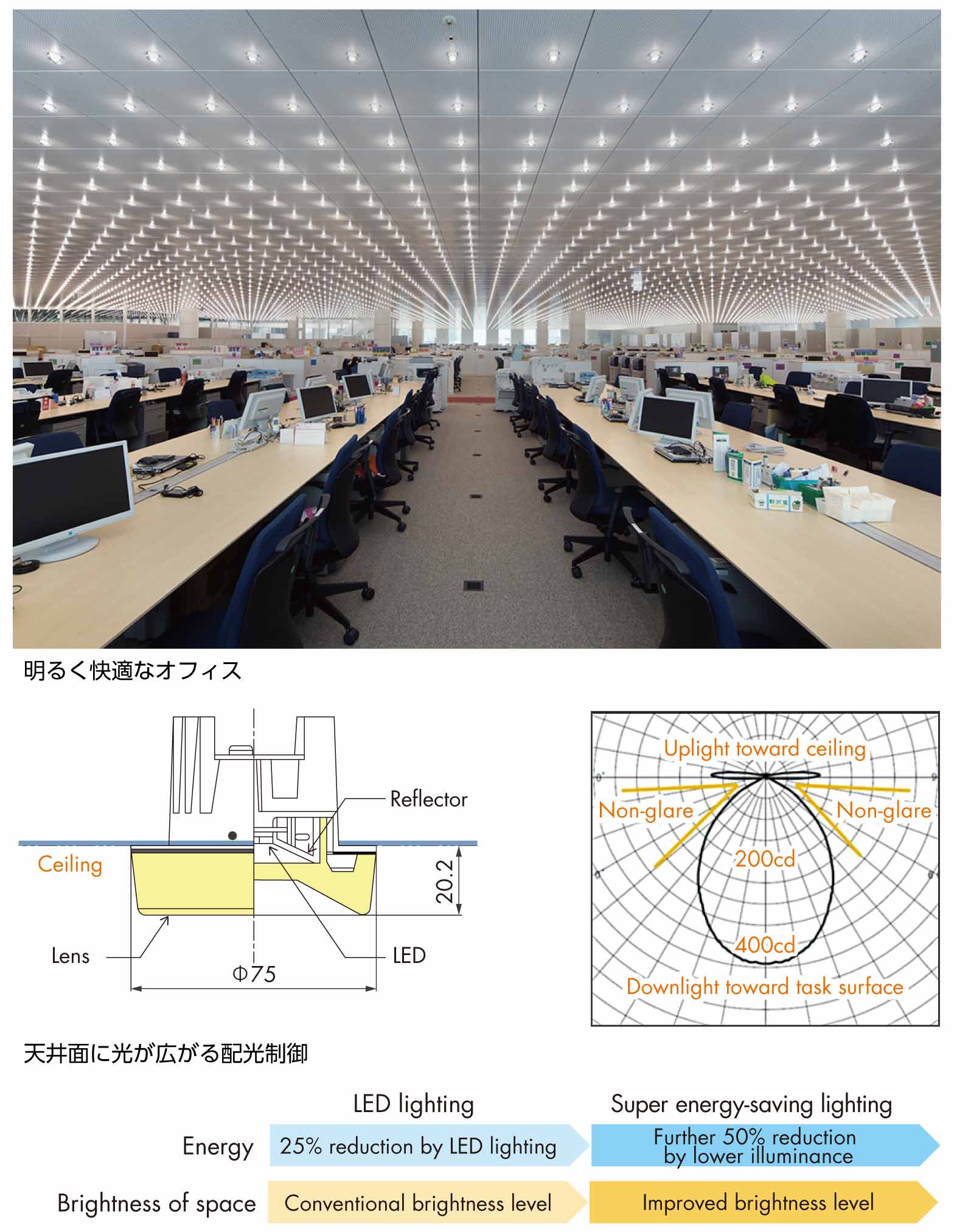 明るく快適なオフィス