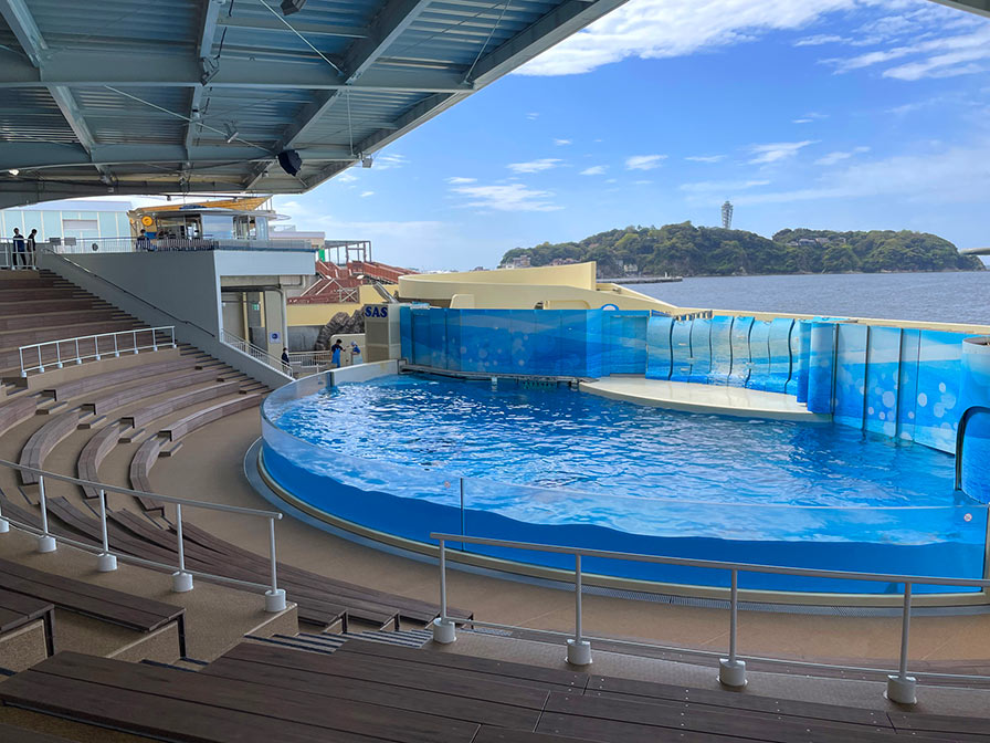 永く愛され、記憶に残る場所 新江ノ島水族館 イルカショースタジアム