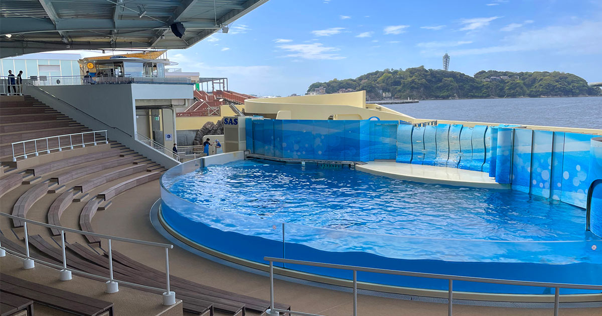 永く愛され、記憶に残る場所新江ノ島水族館 イルカショースタジアム